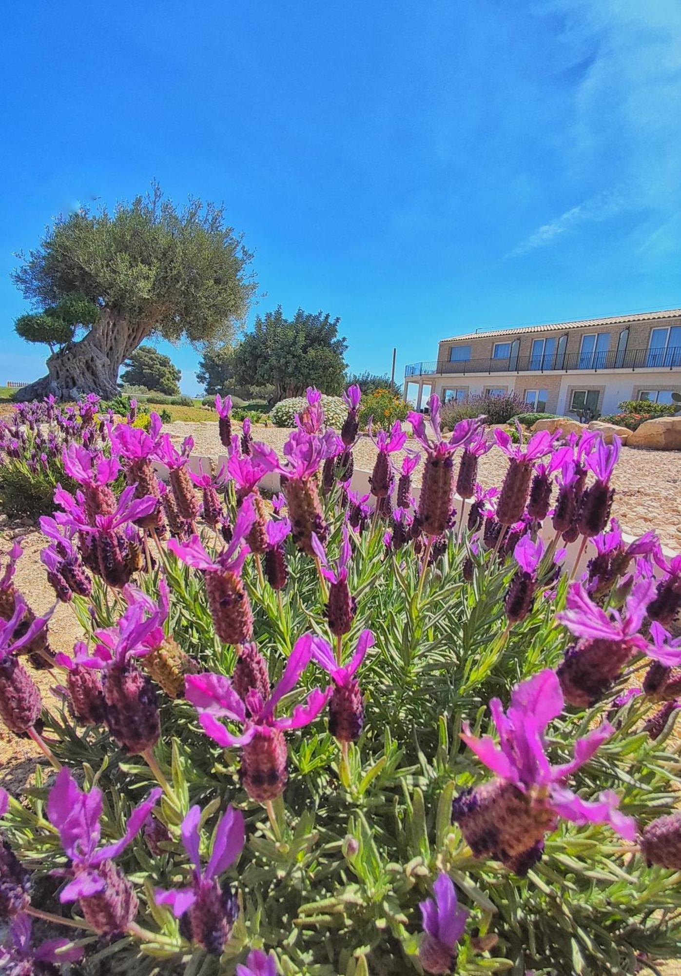 Carrua Guest House Marzamemi Exterior photo